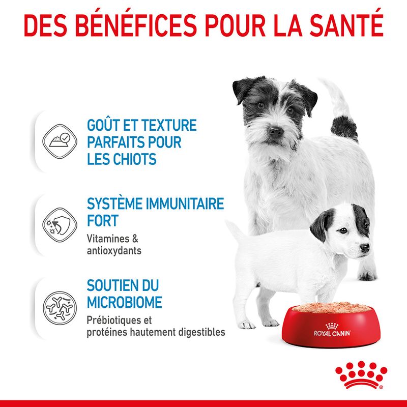 Royal Canin Starter Mother & Babydog Ultra Soft Mousse à prix discount sur bitiba.fr