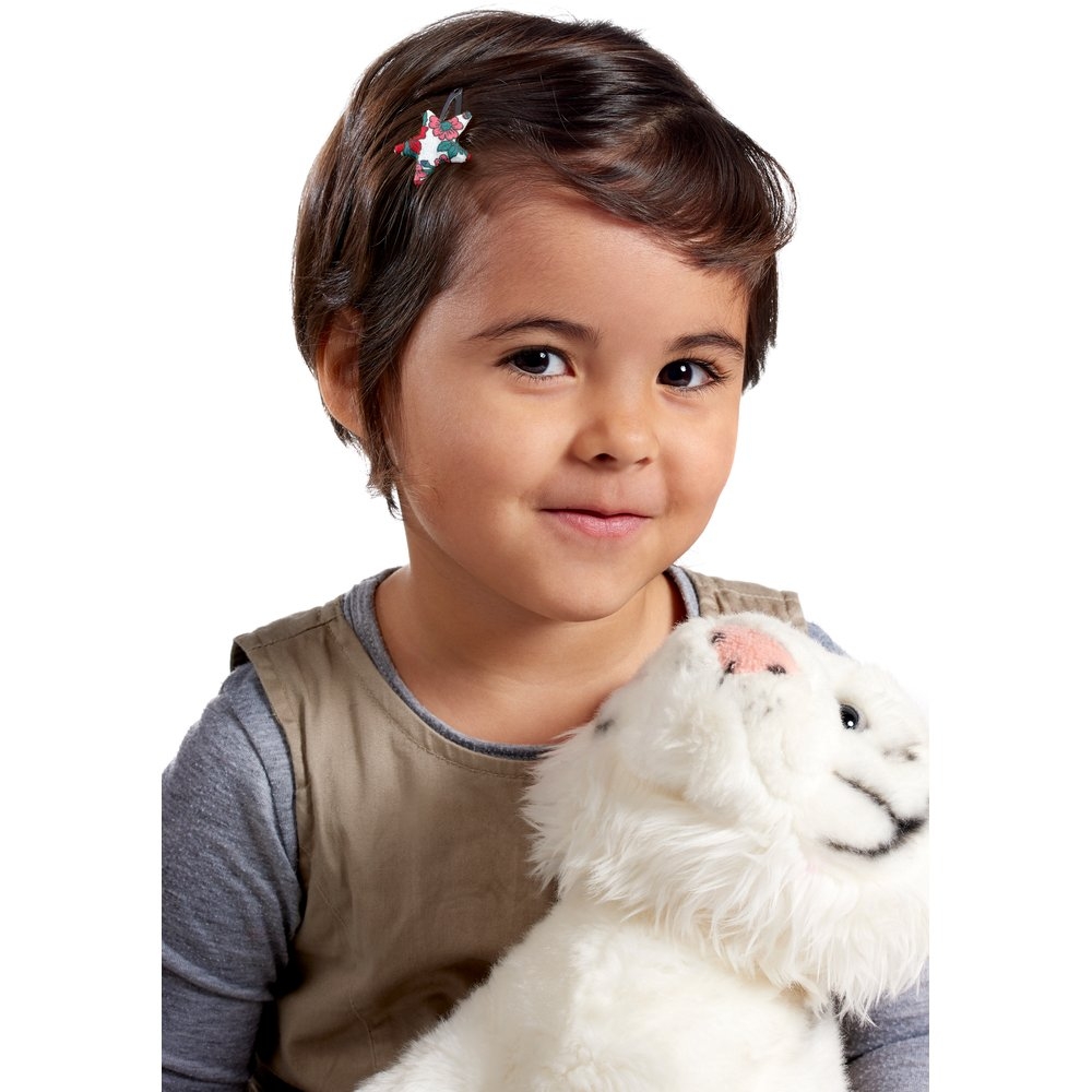 Barrettes Clic-Clac Étoile Prairie Fleurie