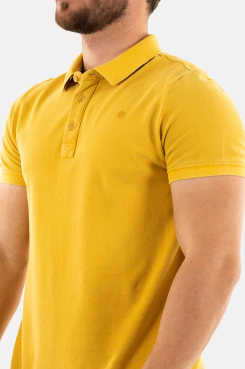 Polos freeman t. porter tadley icon co27 f1242 spectra yellow
