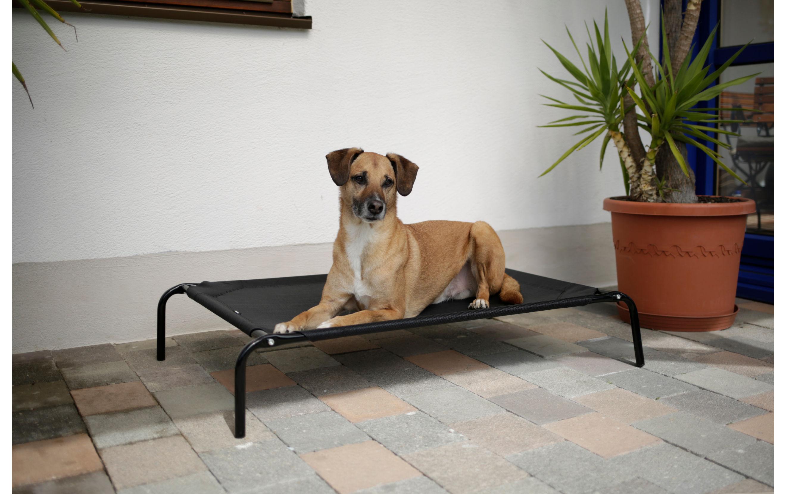 Hundeliege Vacation 107 cm x 65 cm x 20 cmErhöhtes Hundebett mit robustem und wetterbeständigem Metallgestell