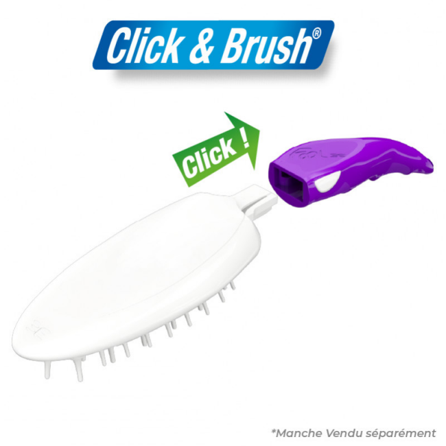 Brosse de massage Foolee Easee