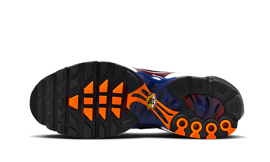 Nike Air Max Plus Patta FC Barcelona - 48h Delivery