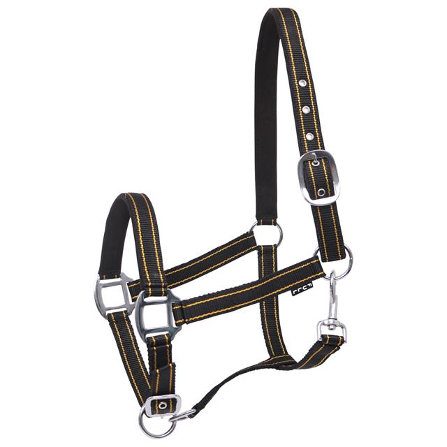 Halster HORSEGEAR Zari Zwart-goud