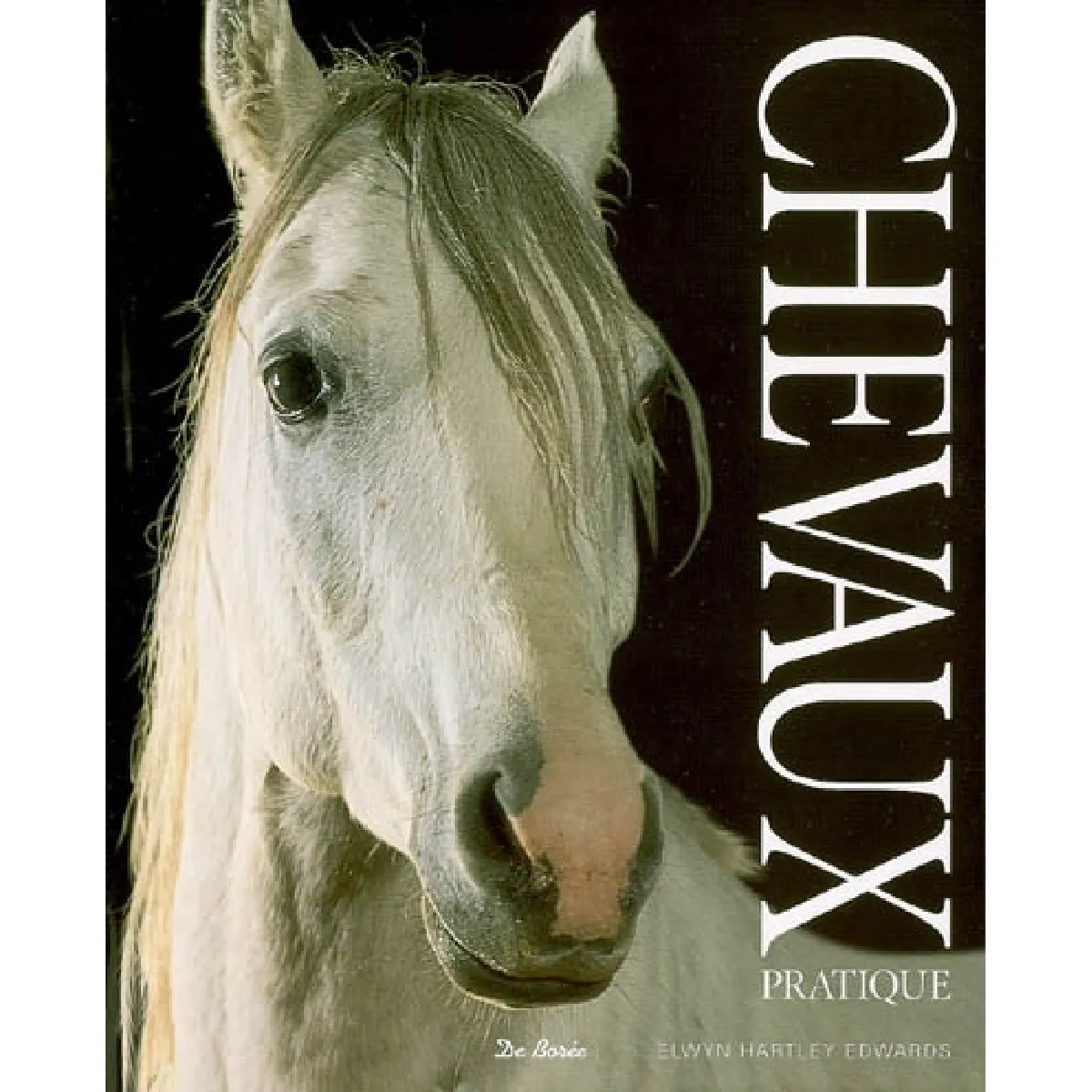 Chevaux : pratique · Occasion