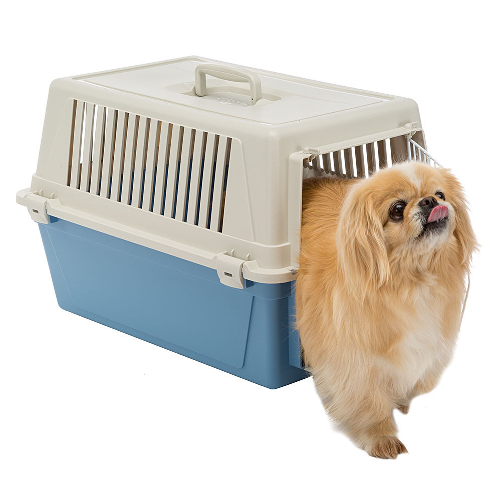 Ferplast transport rigide pour chats et chiens de petite taille atlas 30 el, box pour transport pour animaux, plastique robuste,