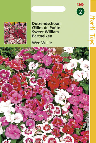 Hortitops Duizendschoon Wee Willy - Bloemzaden