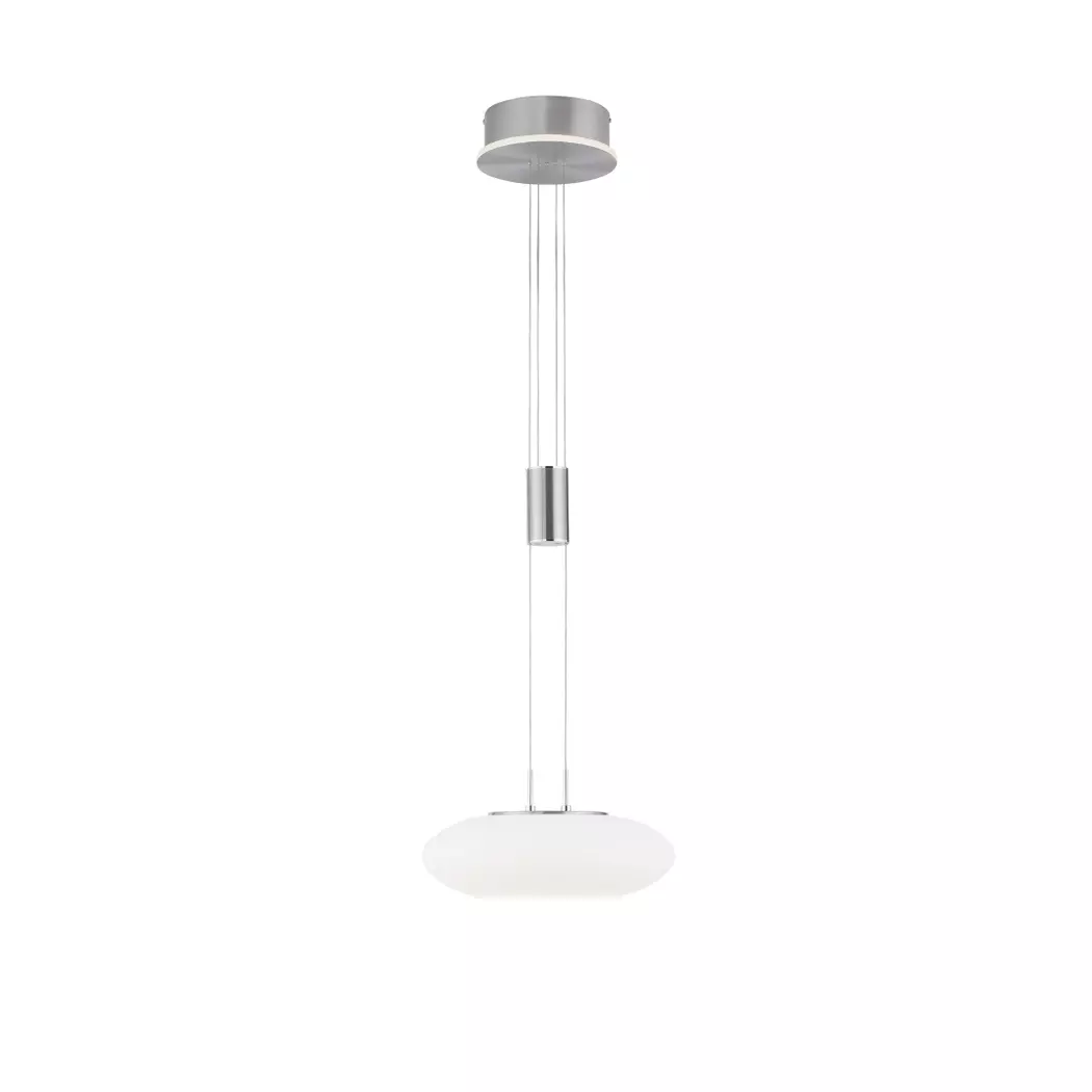 LED-Pendelleuchte Q-Etienne
