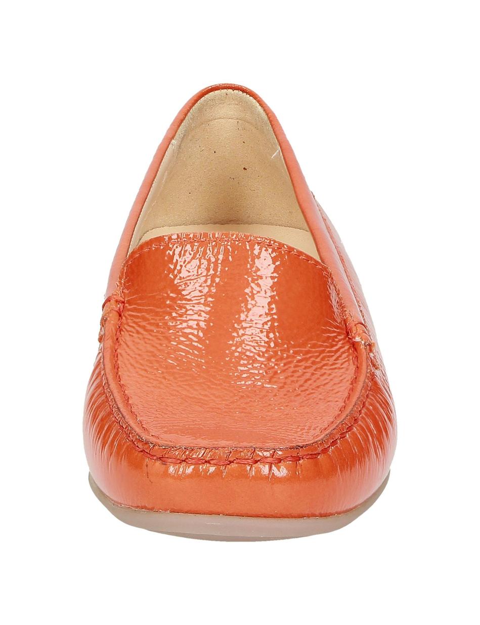Slipper Zalla