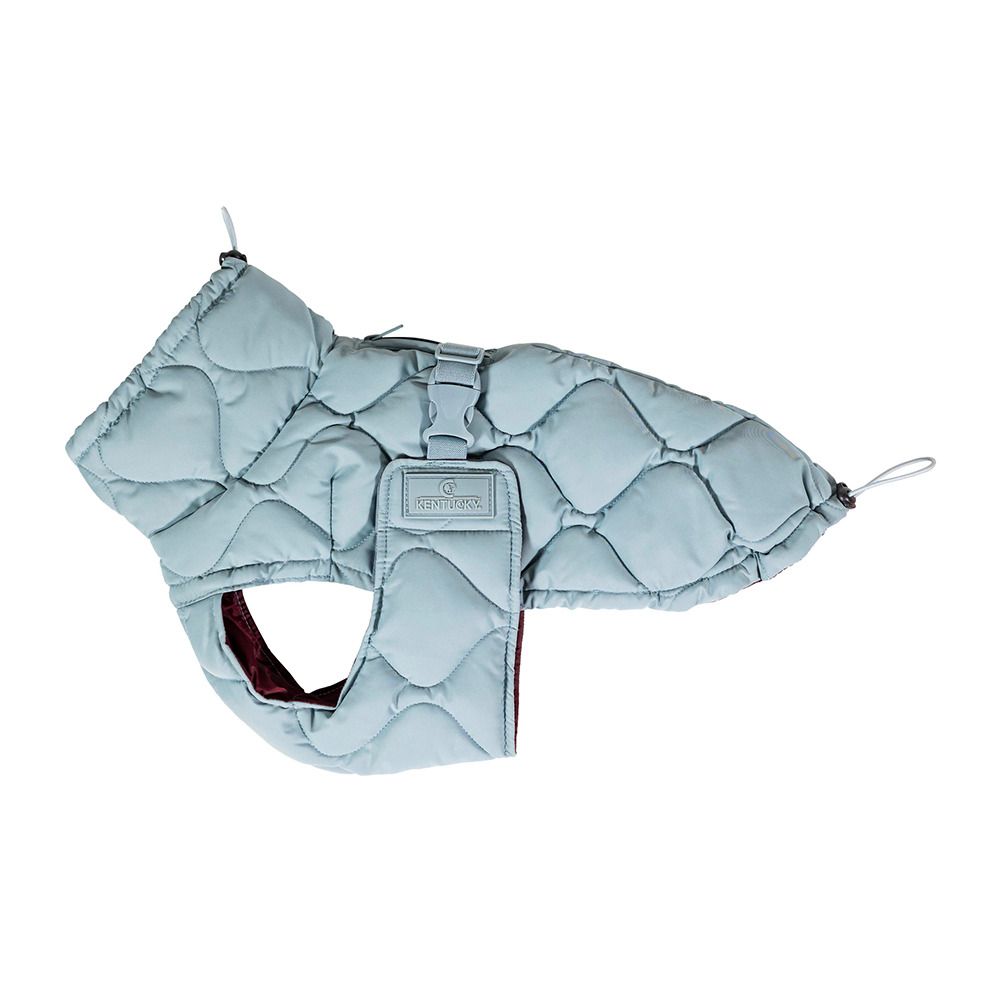 Kentucky PINA - Manteau pour chien dusty blue