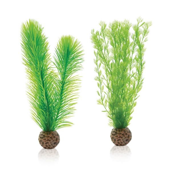 biOrb mannetjesvaren set S groen