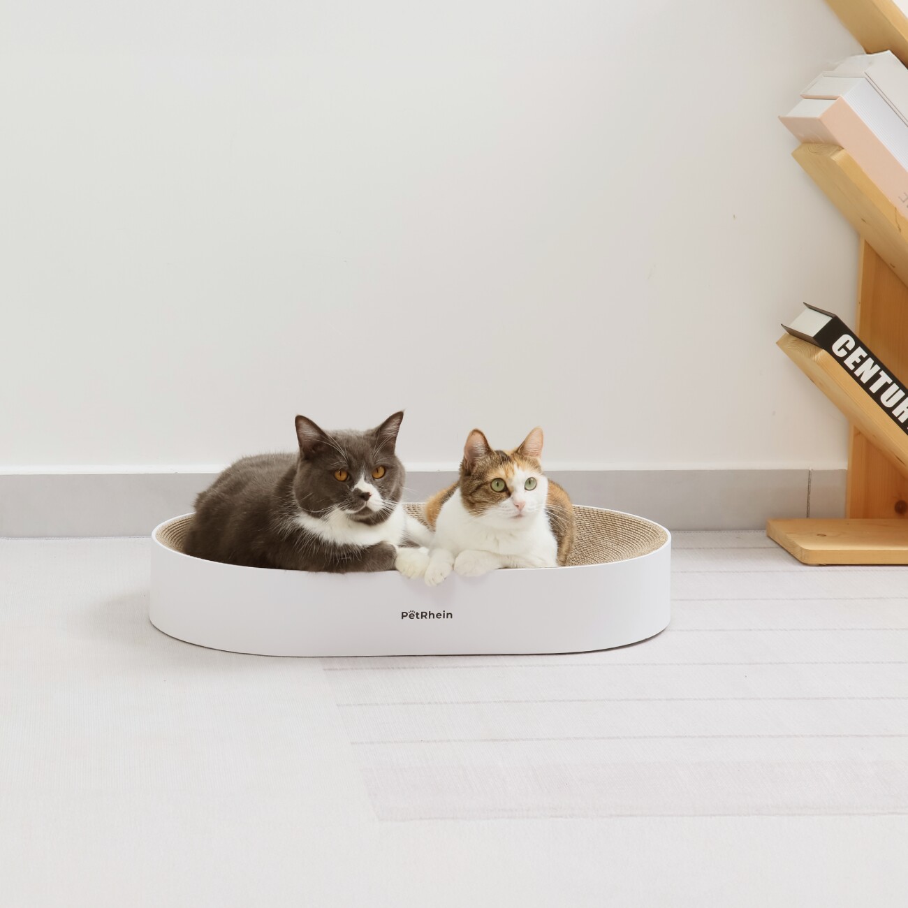 PetRhein Kratzpappe Zen Paw Series braun/ weiß