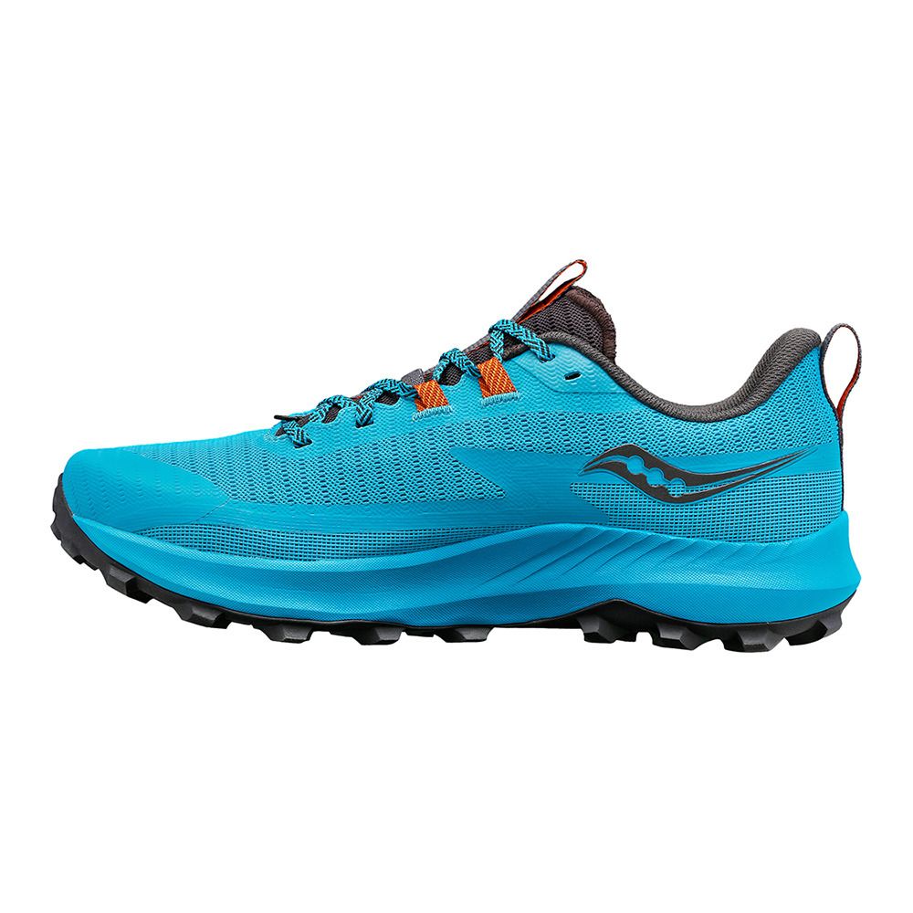 Saucony PEREGRINE 13 - Chaussures trail Homme agave/basalt