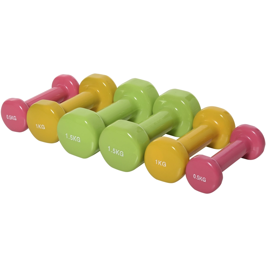 HOMCOM Hantel Set 6 kg bunt