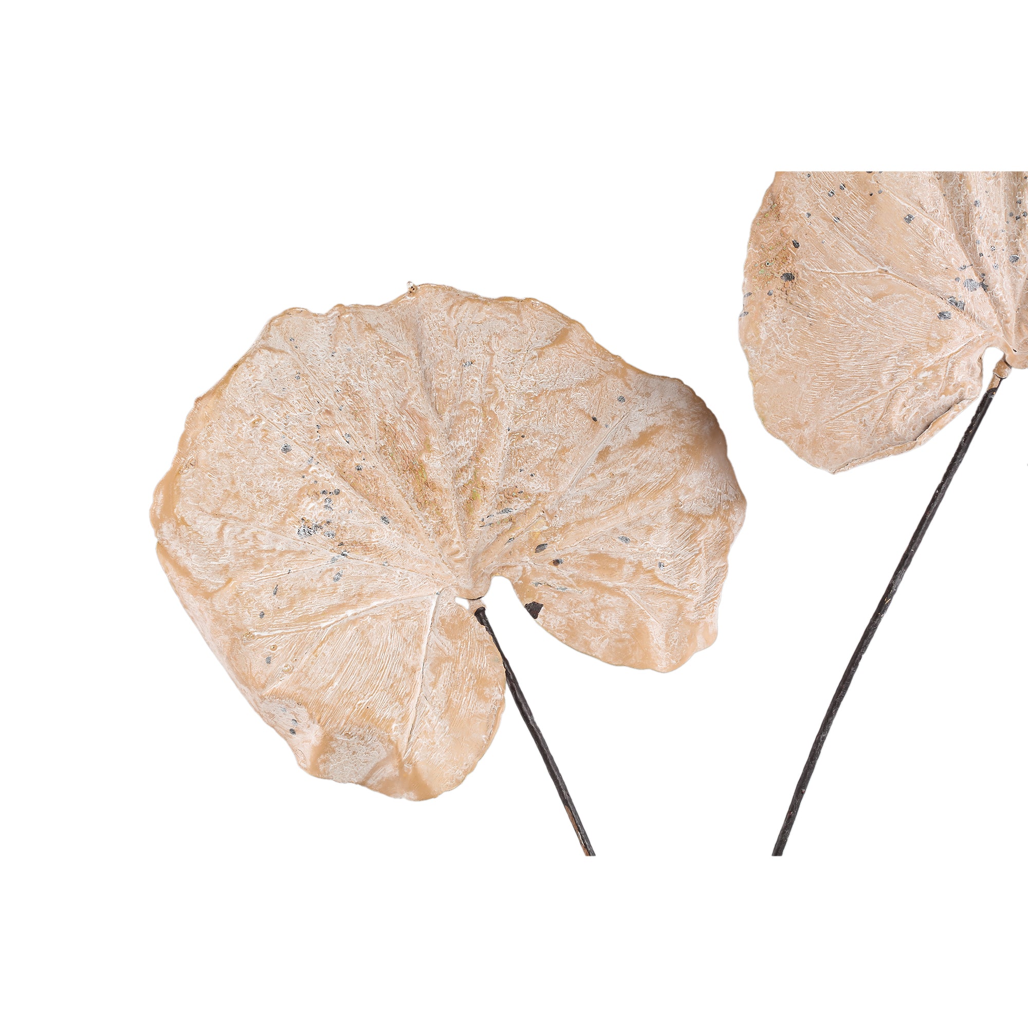 PTMD - Kunstblad Leaves - Beige - 62x57x90cm