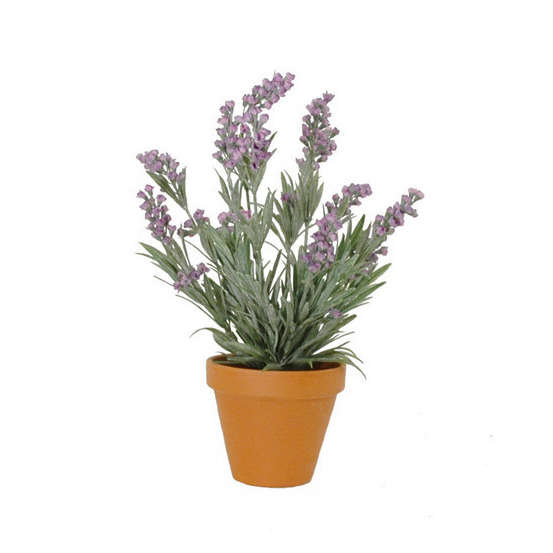 Lavande en pot basalte Ø 11,5 cm, violet Ø 20 x H. 33 cm