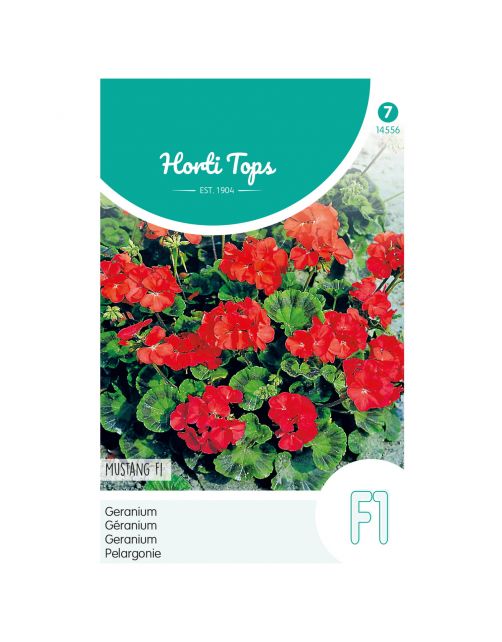 Hortitops Pelargonium - Geranium Mustang F1 Rood - Bloemenzaden - 10 stuks