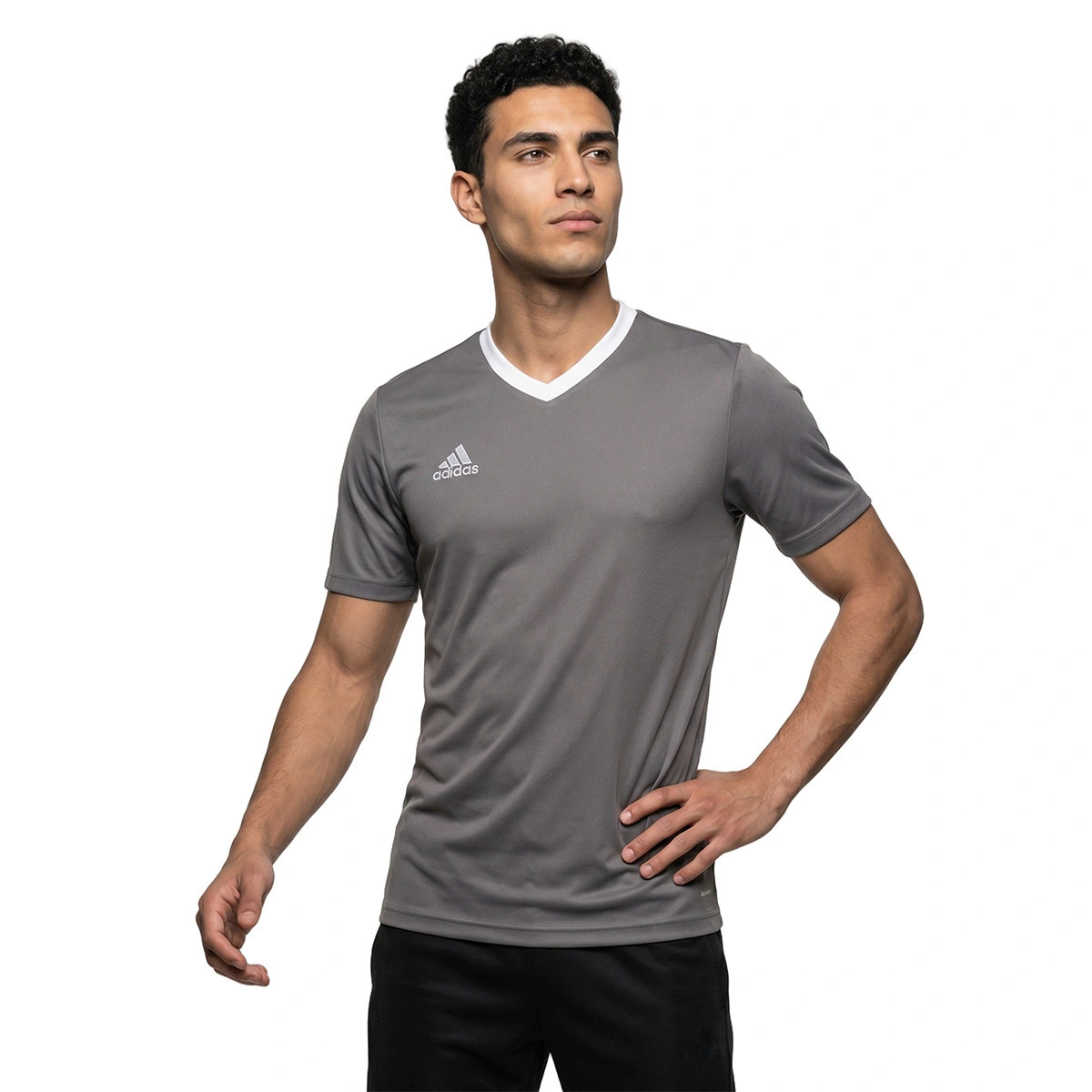 T-Shirt adidas Entrada 22 m/c