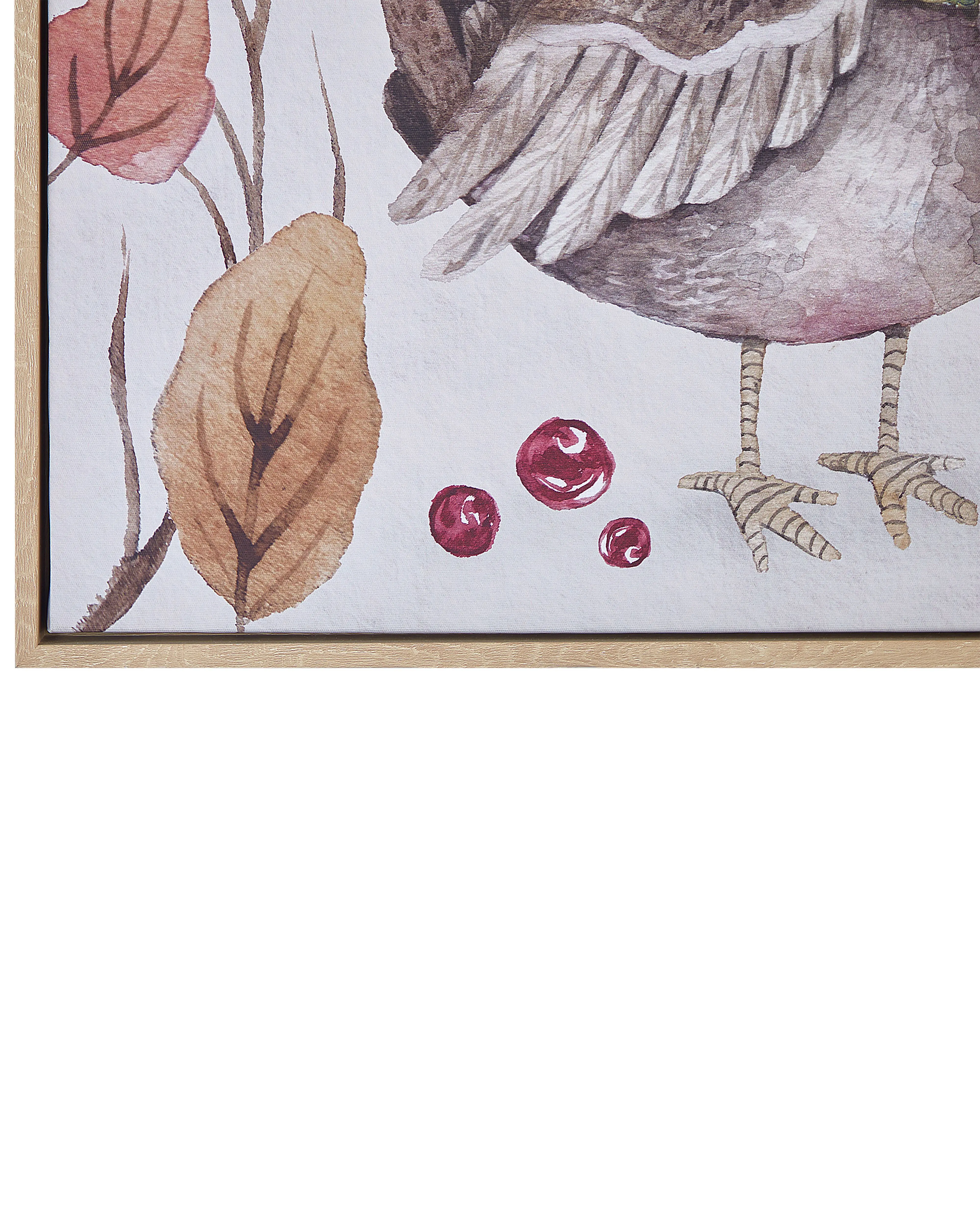 Canvas CASTRO Dieren motief 63 x 63 cm Meerkleurig