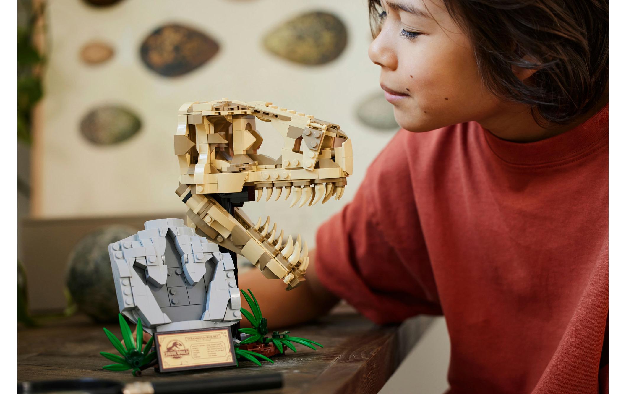 Jurassic World Dinosaurier-Fossilien: T.-rex-Kopf 76964Dinosaurier-Set
