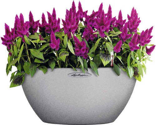 Cubeto Stone kunststof bloempot, 40x40x18 cm, steengrijs, inclusief grondbewateringssysteem en waterniveau-indicator