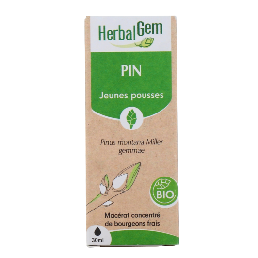 Herbalgem macérat pin bio - Gemmothérapie concentrée