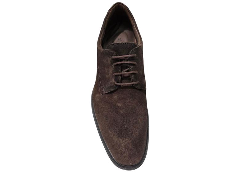Lloyd 25-529-27 X-motion 110 t.d.moro