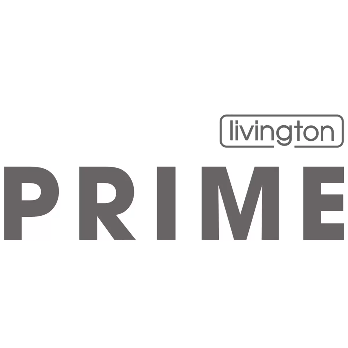 Akku Staubsauger 3-in-1 Livington Prime