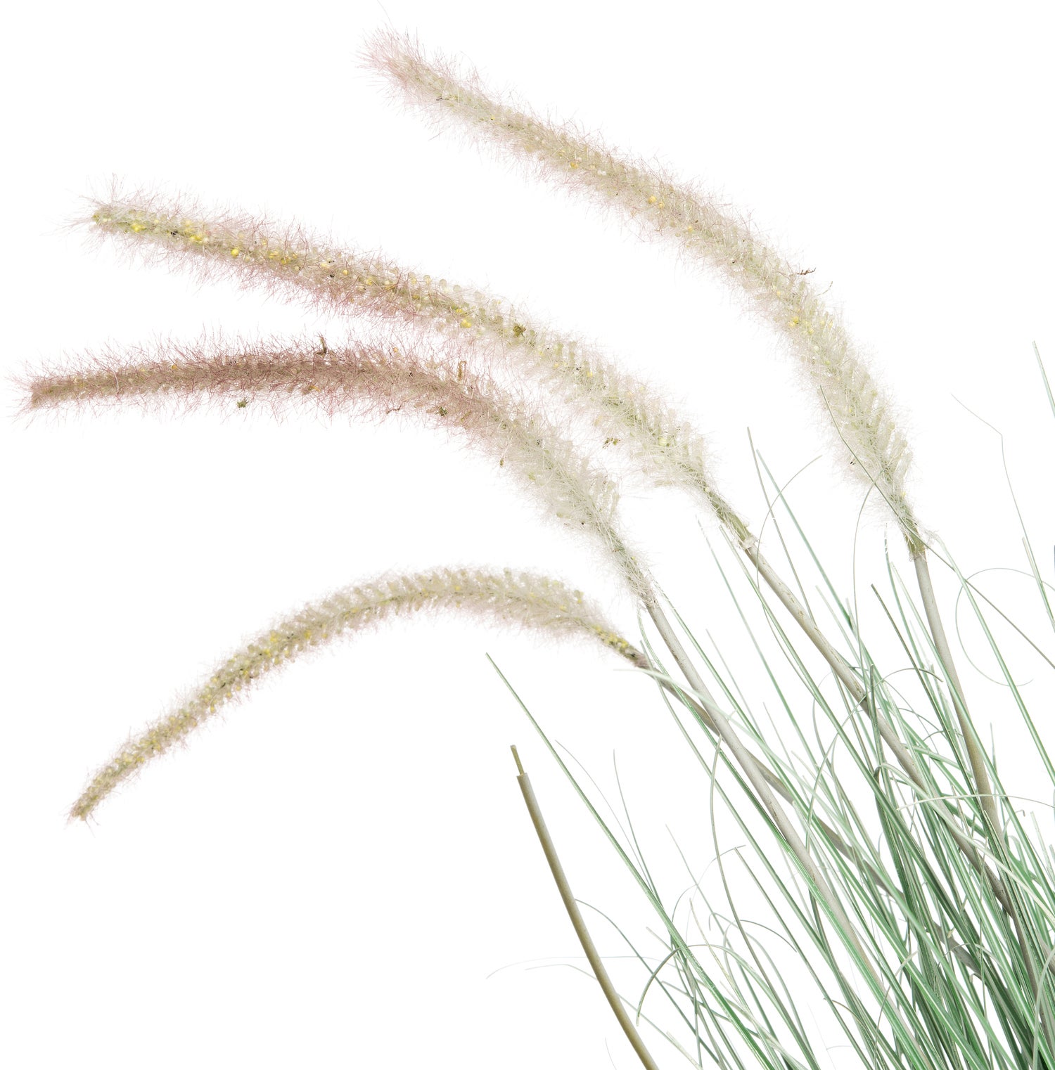 Intratuin kunstplant Pennisetum D 66 H 80 cm