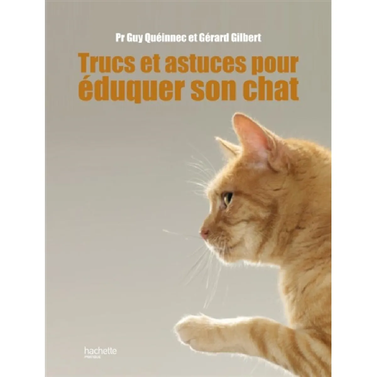 Trucs & astuces pour bien vivre avec son chat · Occasion