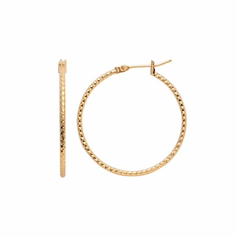 Boucles d'oreilles Créoles Tendances Mode Plaqué Or