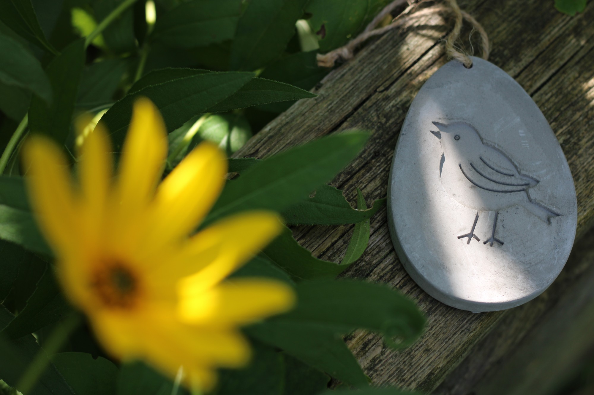 Aufhänger 'Vogel im Ei', Zement, H 9 cm, B 6,5 cm, T 1 cm günstig bestellen