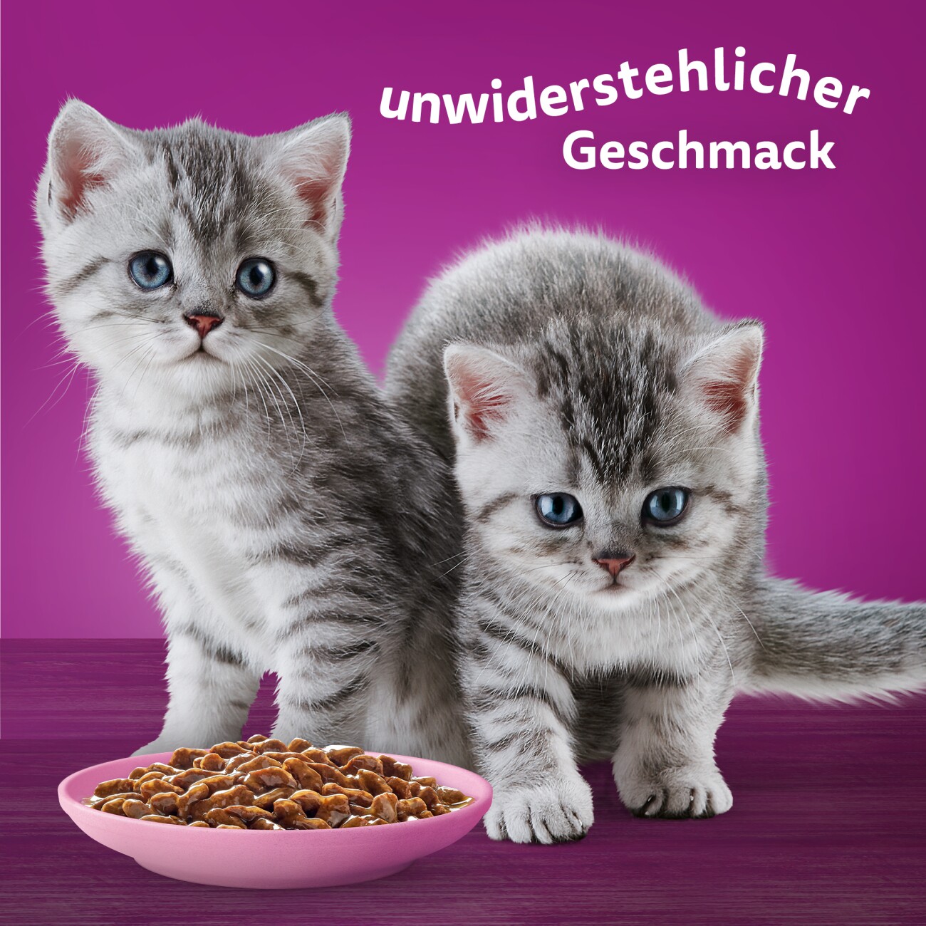 Whiskas Multipack Junior Klassische Auswahl in Sauce 12 x 85g