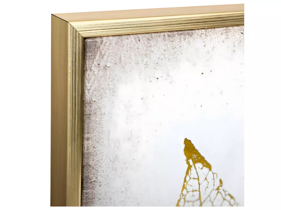 Tableau Toile murale encadrée imprimée Plumes 58 x 58 cm