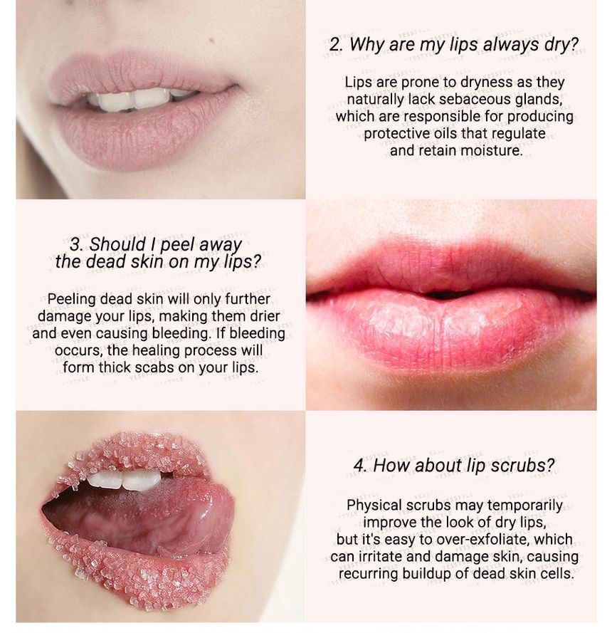 CARE:NEL - Bessen Lip Nachtmasker