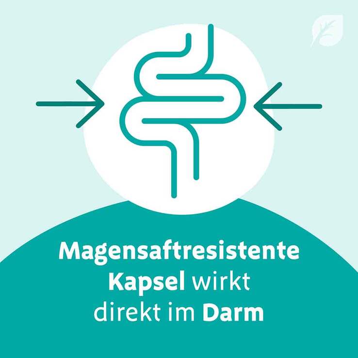 Digestopret® magensaftresistente Weichkapseln, 45 St