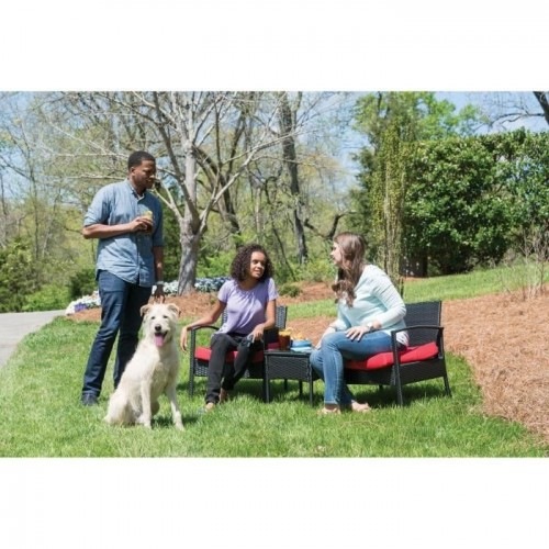 Sistema de adestramento canino Petsafe