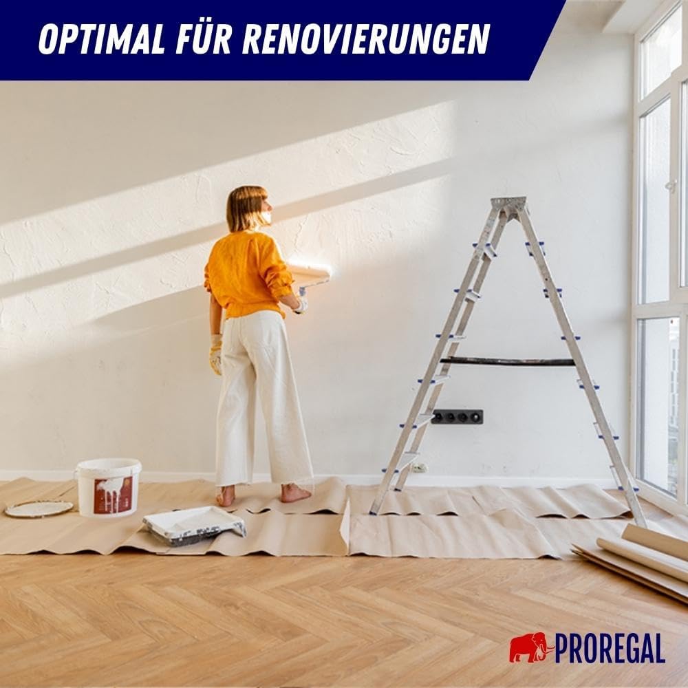 PROREGAL Economy Basic Trapladder, dubbelzijdig toegankelijk, 2 x 2 treden, werkhoogte 2,38 m, draagvermogen 150 kg