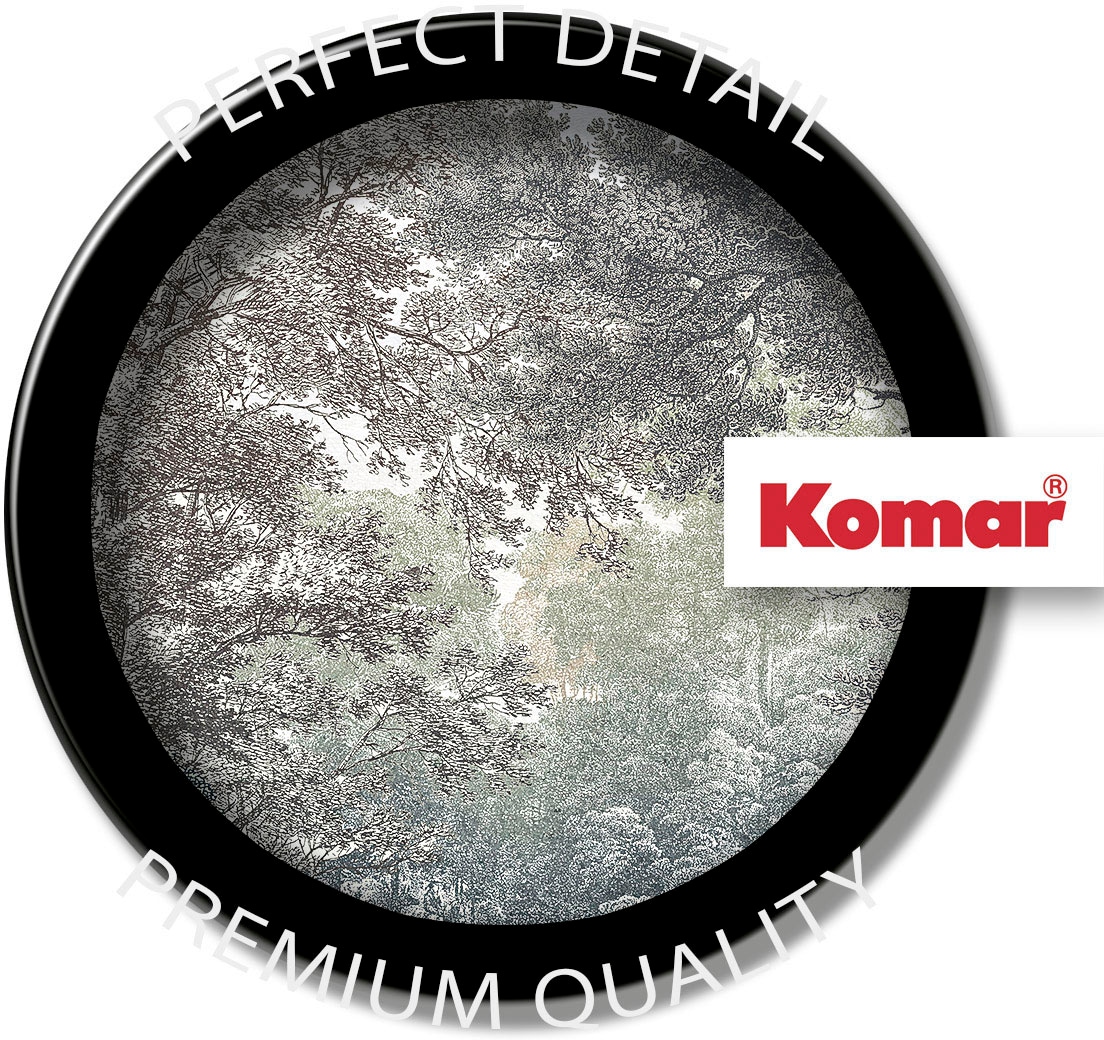 Komar Fototapete »Digitaldruck Vlies -  Wood Wide Web - Grösse 400 x 280 cm« bedruckt glatt Wohnzimmer, Schlafzimmer