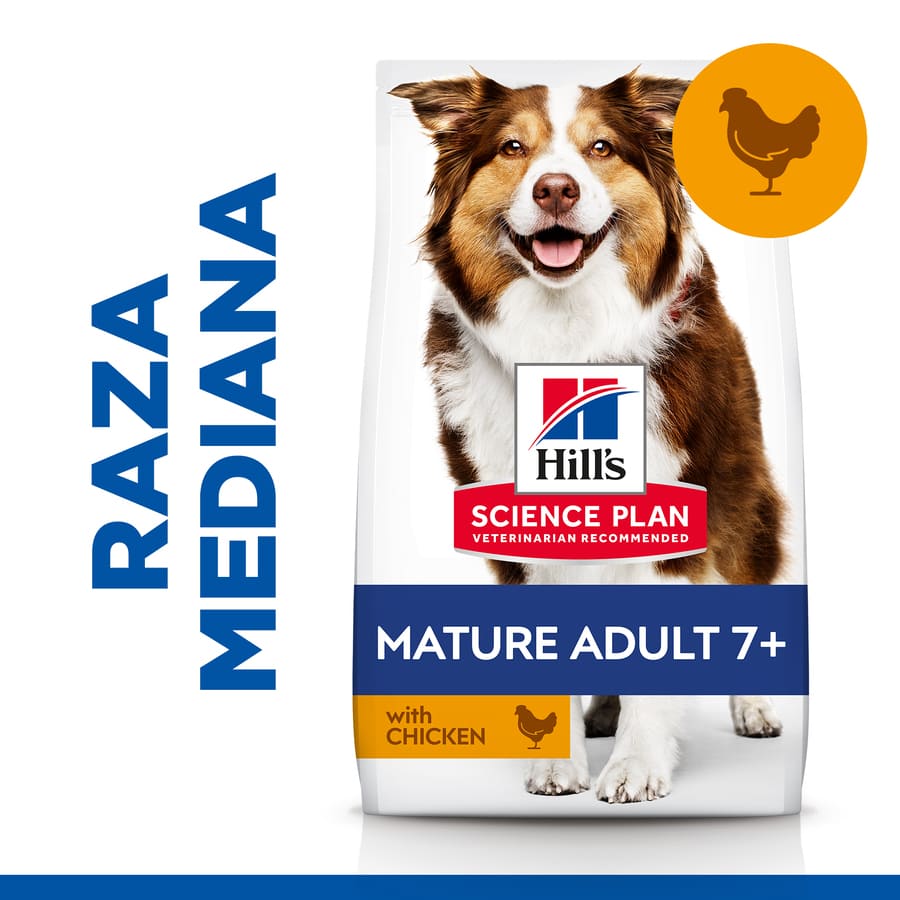 Ração Hill's Science Plan para cães adultos de porte médio com sabor de frango