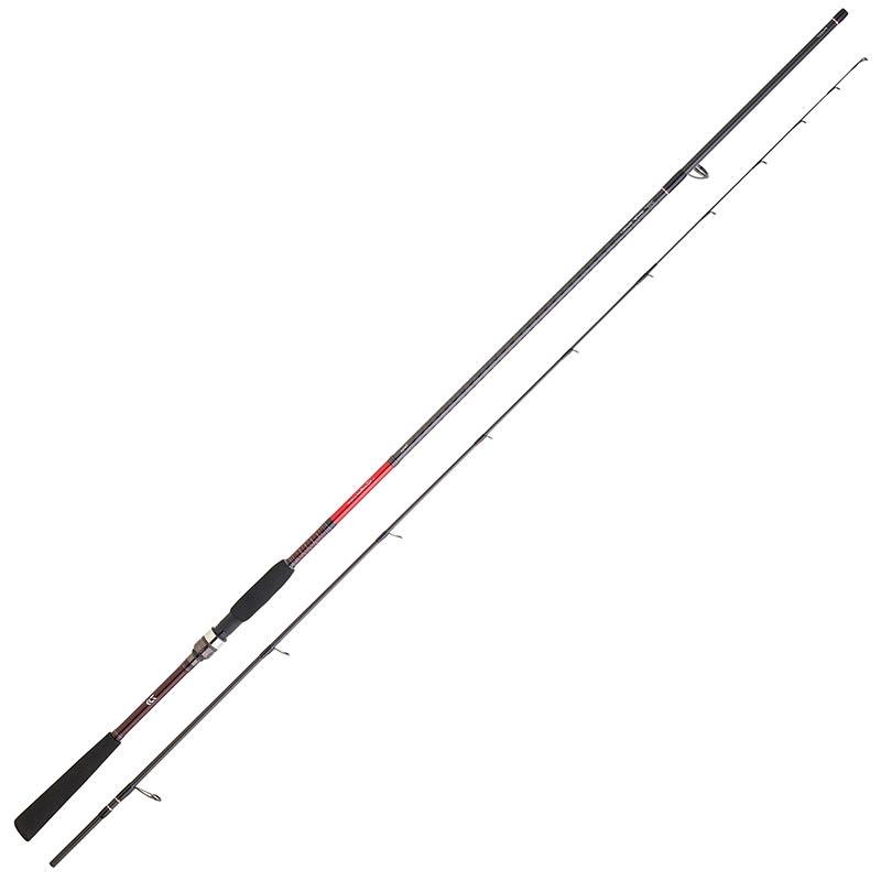 Canne Tenya Daiwa Saltist Tenya