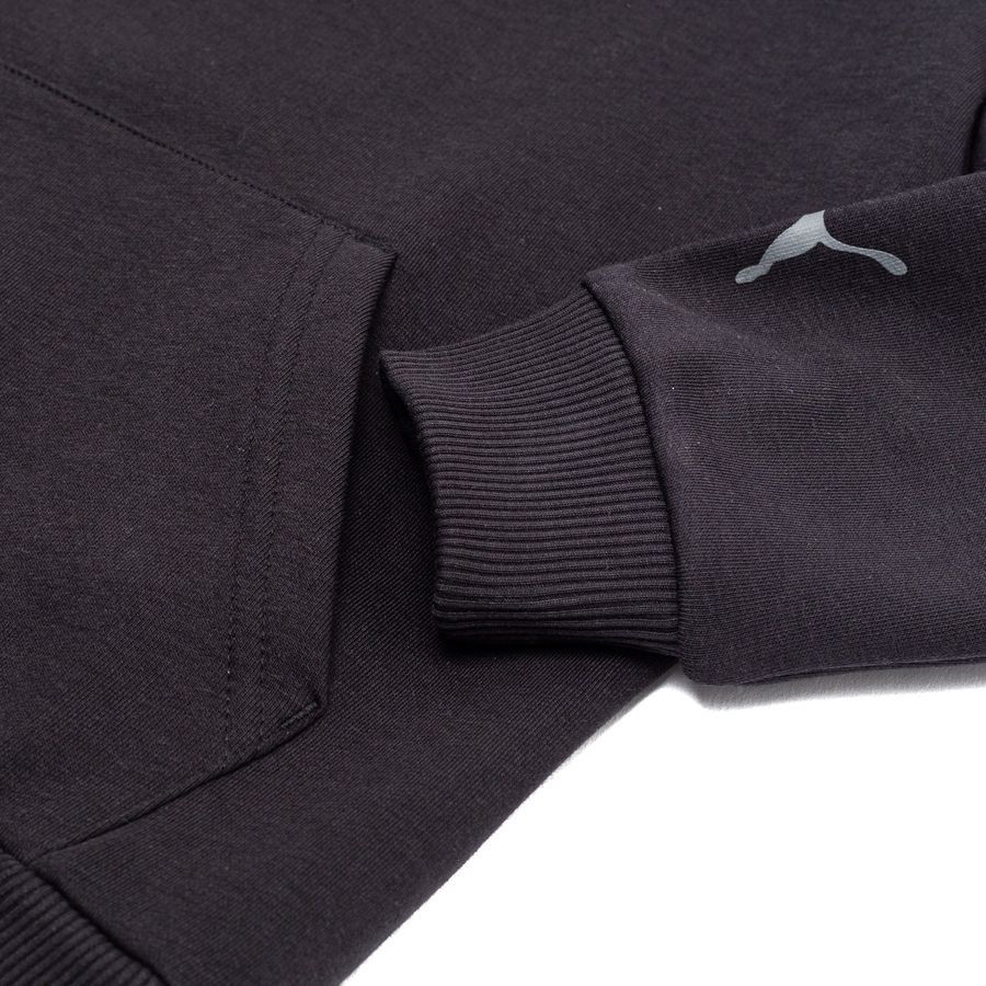 PUMA Sweat à Capuche Nordics Blank - Noir/Cool Dark Gray Enfant