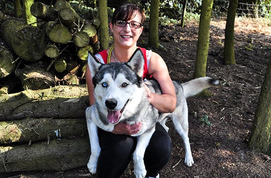 Husky-Knuddeltag in Goch als Geschenkidee