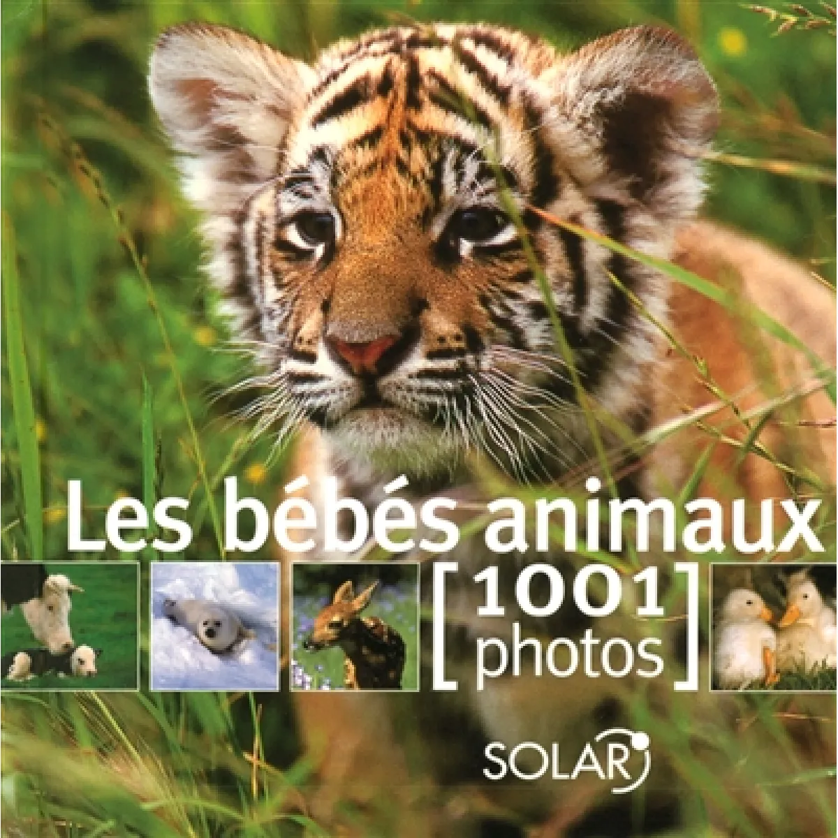 Les bébés animaux · Occasion