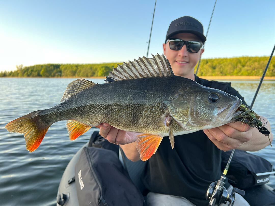 7.0g ChatterBait Mini Max (Z-Man)