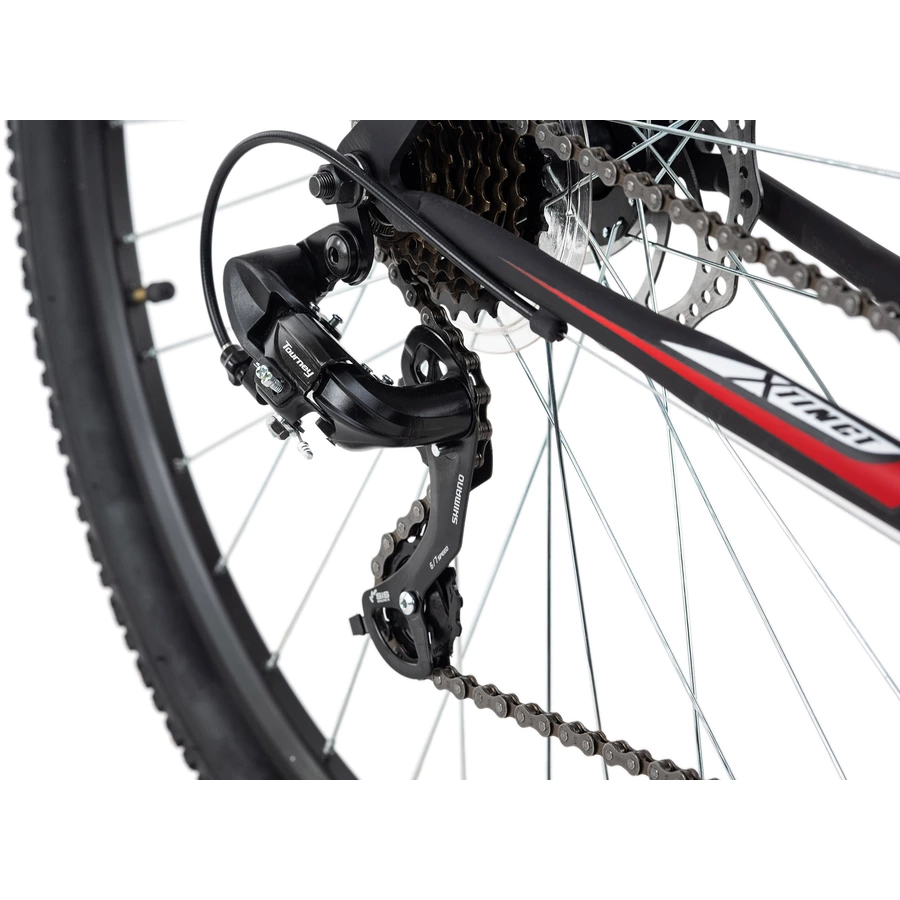 KS Cycling MTB Hardtail Twentyniner 29 Zoll Xtinct schwarz