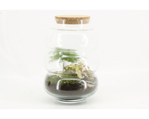 Flessentuin DIY set complete set Bubble medium H 30 cm Ø 17 cm