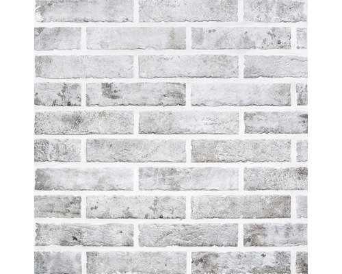 Baksteentegel Antica Fornace bianco 6 x 25 cm