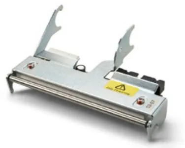 Intermec - 203 dpi - printhoved - for Honeywell PM43, PM43c