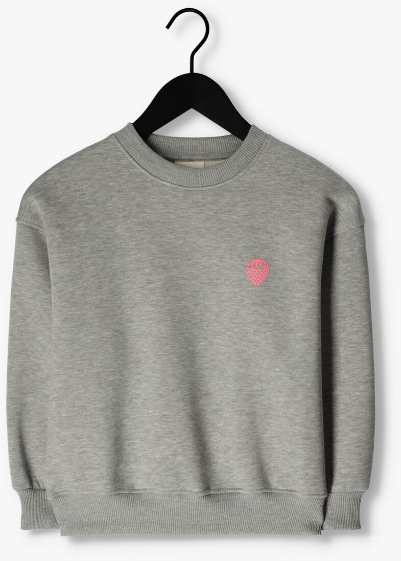 SOFIE SCHNOOR grijze sofie schnoor sweater g231214