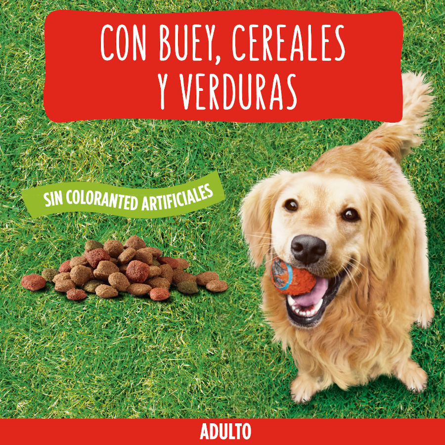 Ração para cães Friskies Adult com carne e vegetais